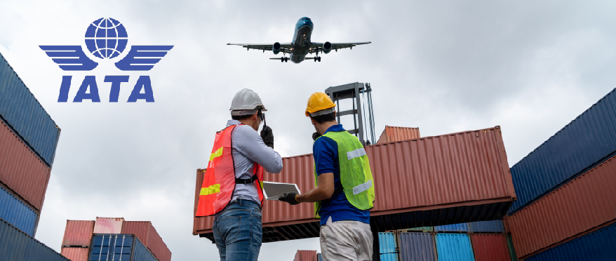 AsstrA Polska - firma transportowa i logistyczna Warszawa